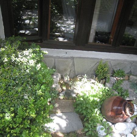 Guest House Voyno Добриниште Екстер'єр фото