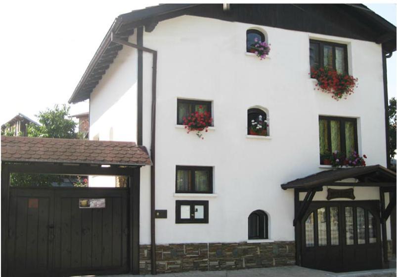 Guest House Voyno Добриниште Екстер'єр фото