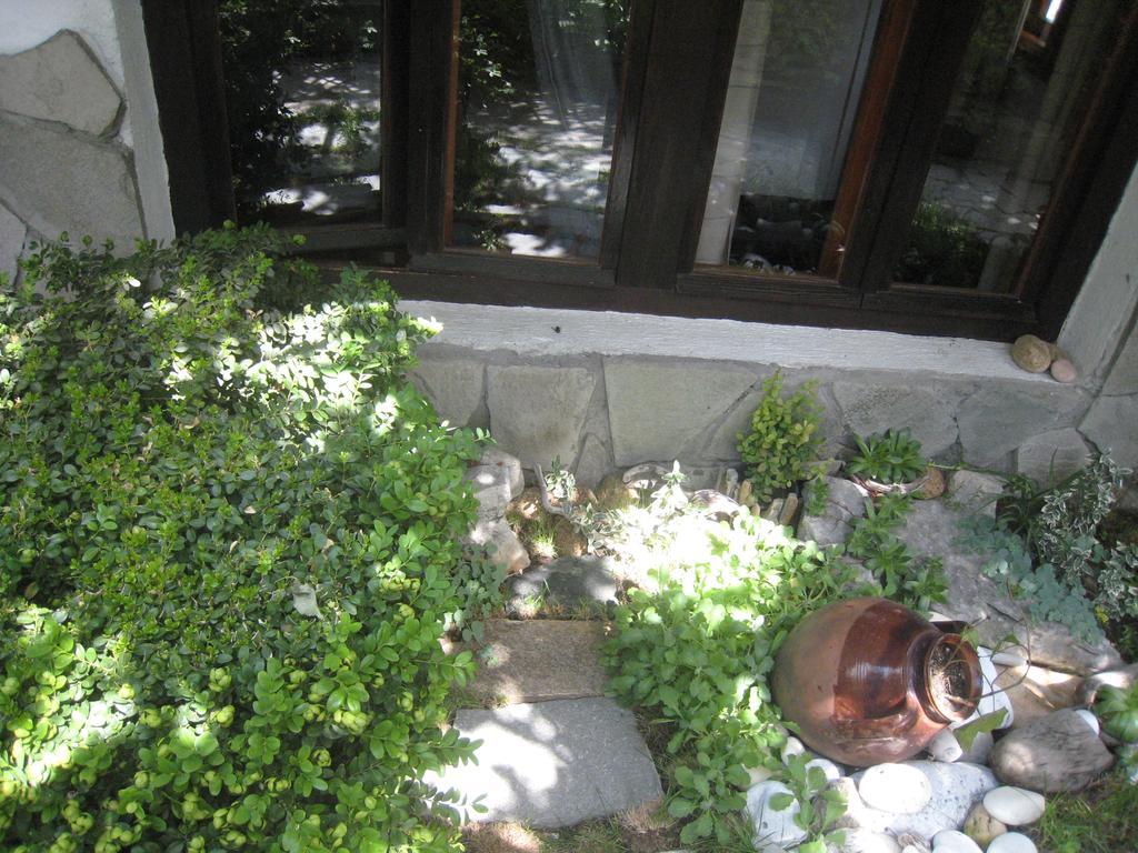 Guest House Voyno Добриниште Екстер'єр фото