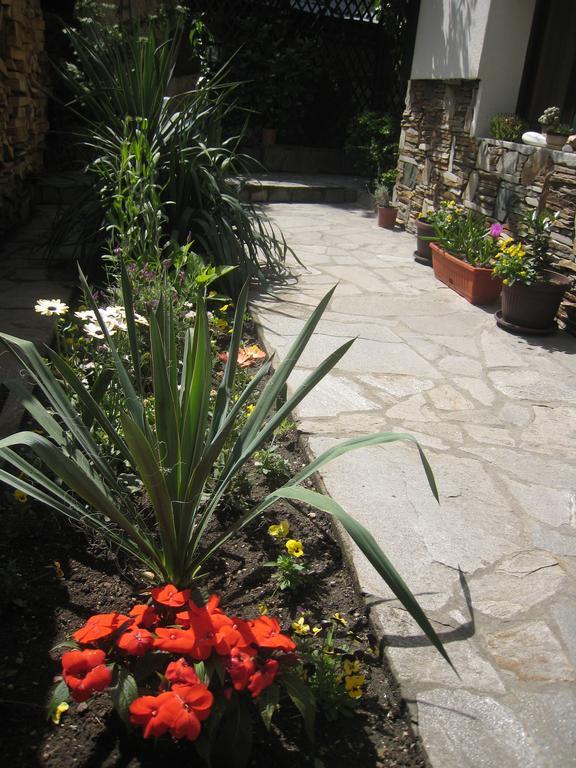 Guest House Voyno Добриниште Екстер'єр фото