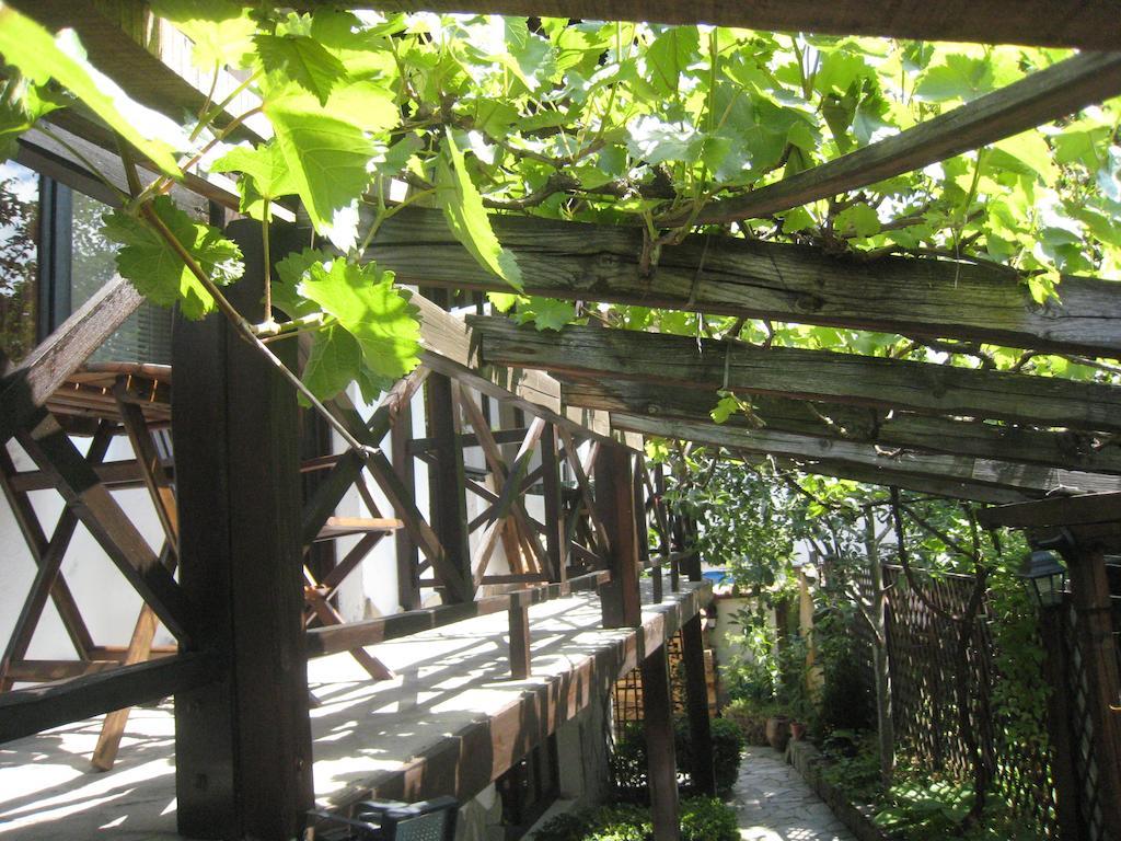 Guest House Voyno Добриниште Номер фото
