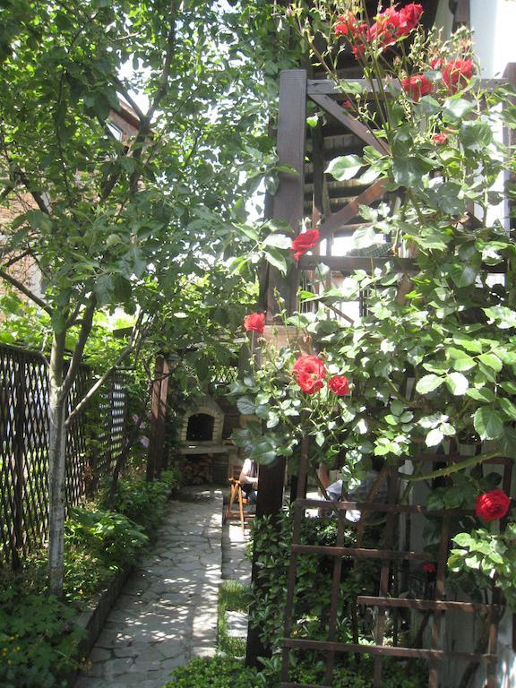 Guest House Voyno Добриниште Екстер'єр фото